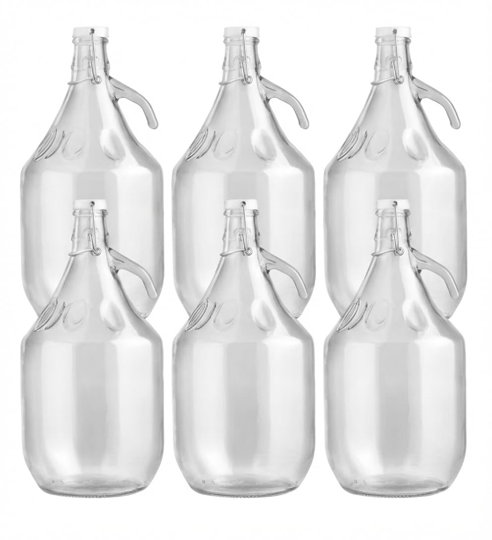 lilawelt24 6 x 5L Glasballon (Gallone) mit Bügelverschluss & Henkel - Glasflasche für Wein, Gärung, Saft, Likör & Einmachen