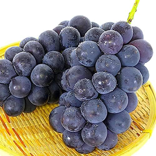 Amazon.co.jp: 【豪華ぶどう3種 旬の食べ比べ】1.6kg前後 ピオーネ