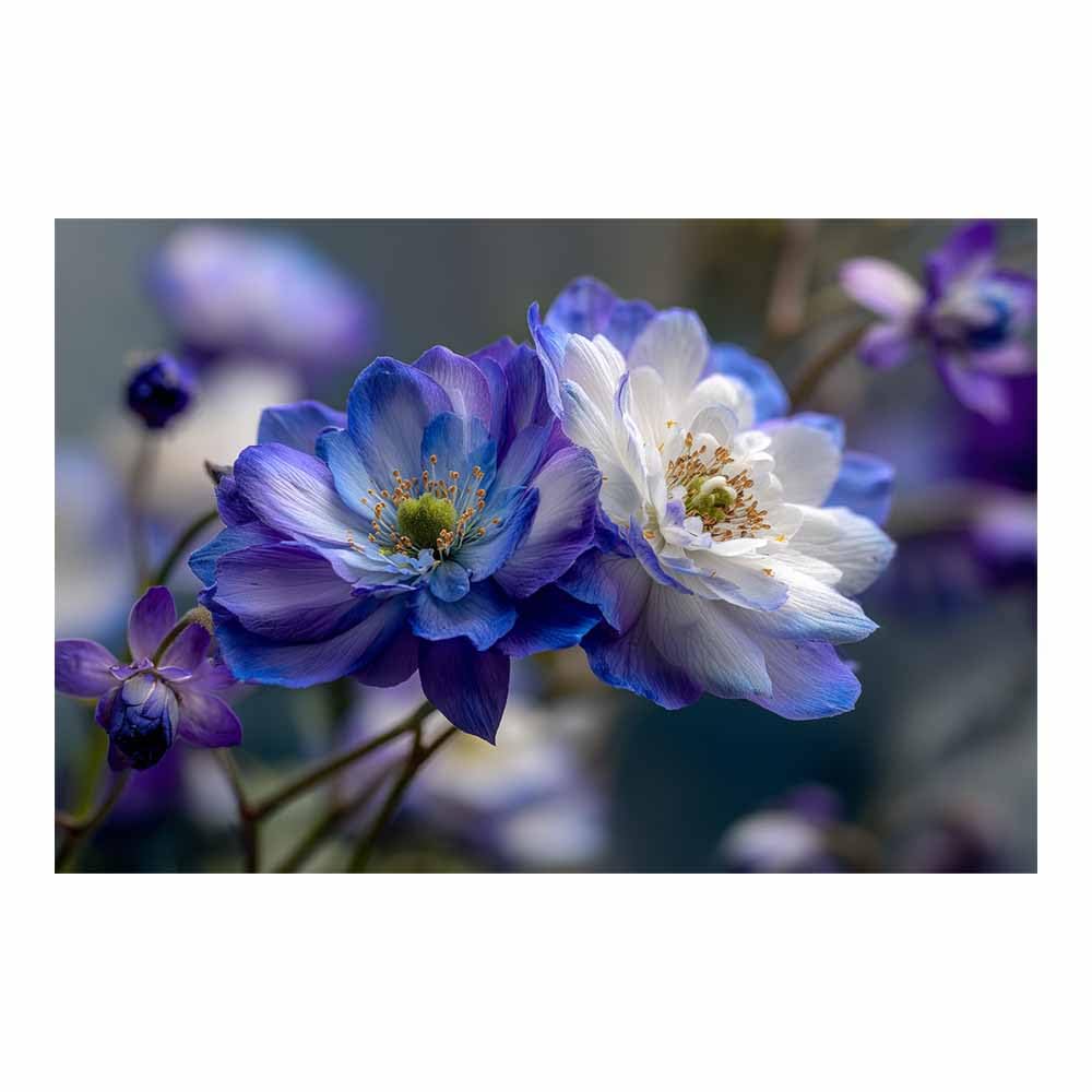 ZAMAEIU Landscape Canvas Painting Globeflowers Wall Decor, Modern Artwork, For Bedroom Living Room Bathroom Home Office Room Decorations(Purple;)-60x90cm Unframed