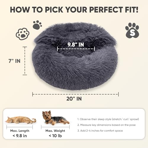 Image of Himax Dog Beds for Small Dogs, Donut Dogs Beds with Blanket Attached, Calming Dog Bed Washable (20 inch /26 inch /35 inch) Grey