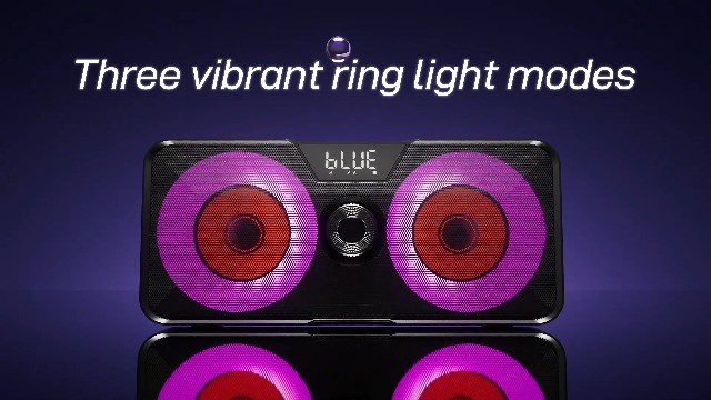 Machine Karaoké Oreilles De Chat Enfants & Adultes – 2 Micros Sans Fil + LED Clignotantes – Haut-Parleur Portable Bluetooth – Cadeau Noël Anniversaire