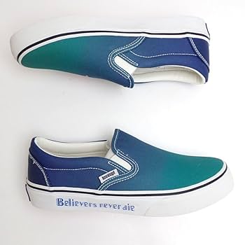 ポルノグラフィティ - ポルノグラフィティFC限定 岡野昭仁プロデューススリッポン 51kGuZapPDL._UF350,350_QL80_.jpg