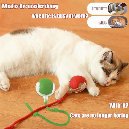 Image of Chewie Viral Rolling Ball,Interactive Rolling Dog Ball Toy,Interactive Cat Ball Toy,360 Smart Automatic Rolling Pet Ball,Dancing Ball for Dogs,Shaky Ball for Dogs and Cats Breed