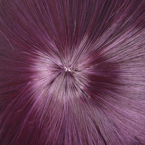 Image of LABEAUTE Reze Wig Short Deep Purple Anime Wig for Girls Women Synthetic Cosplay Wig with Ponytail for Halloween Party Wig + Cap