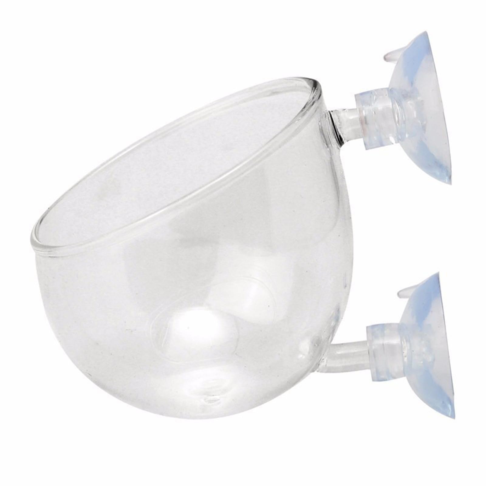 NEWFT Glass Plant Cups with Suction Cups for Water Plant FishTank Ornaments Aquariums Landscape Plant Holders