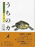 うちのカメ オサムシの先生カメと暮らす