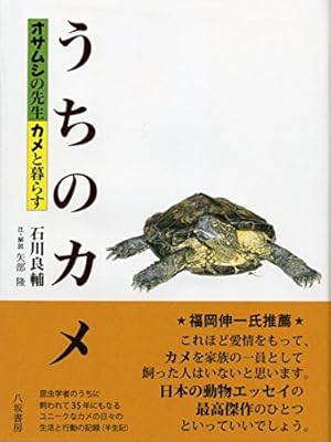 亀に無視され続けています | カメユ |本 | 通販 | Amazon