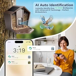 Smart bird feeder with camera solar powered 25k hd free ai identifies 12000 birds auto motion detection waterproof wooden video bird feeder camera live gift of bird lover wifi  urban country home decor