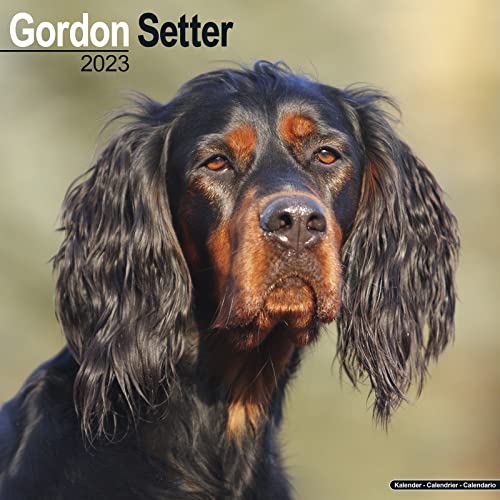 Gordon Setter Calendar - Dog Breed Calendars - 2022 - 2023 wall calendars - 16 Month by Avonside