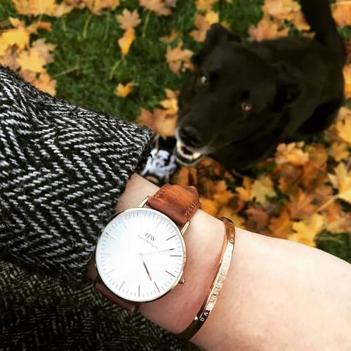 Image of Daniel Wellington Classic Uhr Silver Leather