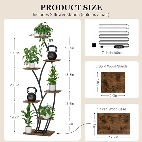 Image of Plant Stand Indoor with Grow Lights - Lighted Indoor Plant Shelf Tall, 61 inch 7 Tier Large Plant Stands for Indoor Growing, 2 Pack Corner Flower Shelves, Half-Moon Metal Holder for Home Living Room Black