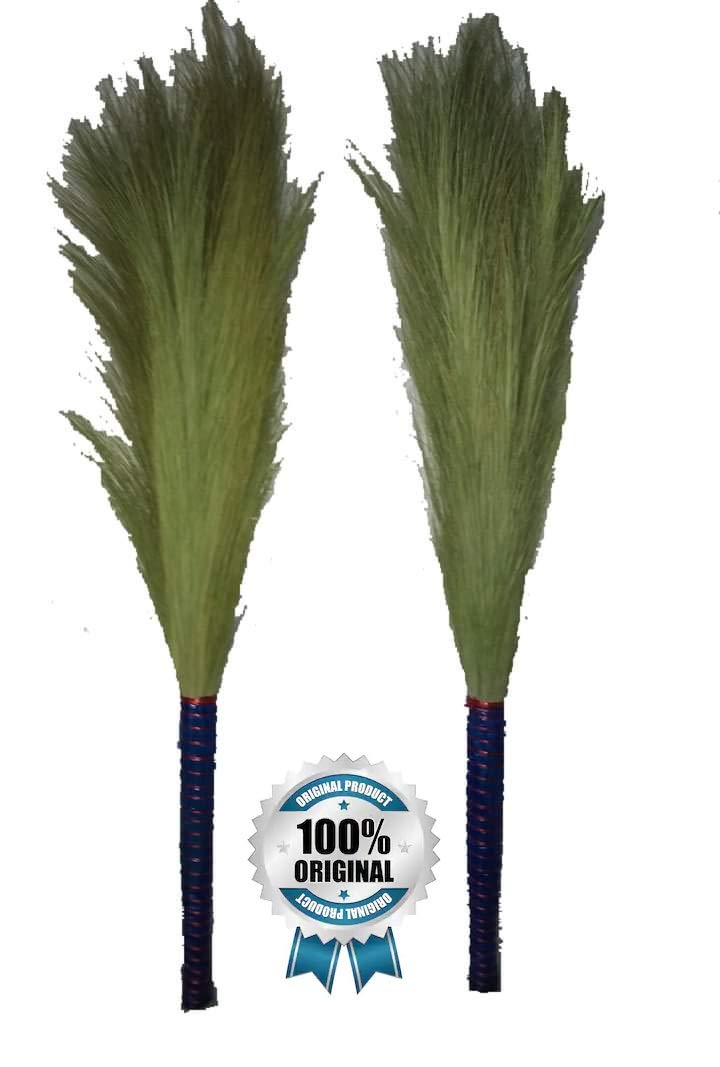 Ayushka Crafts Date-palm dust free Broom