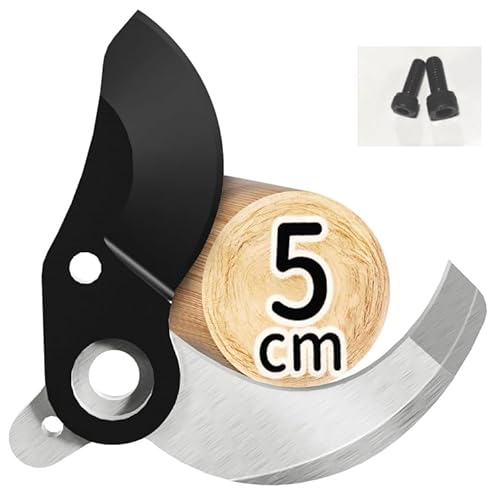 YirealdoT~֐nZbg JTCY50A[B0D2DHR97T]p