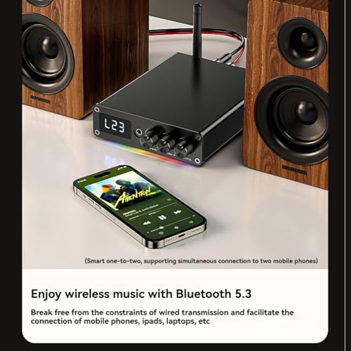 Amplificateur audio Bluetooth 5.3 pour vos soirées karaoké à la maison