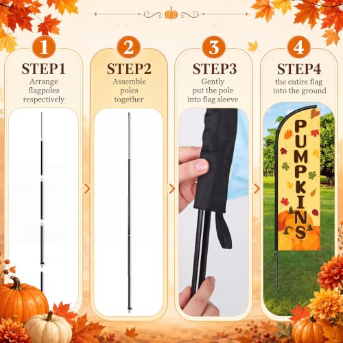 View 5