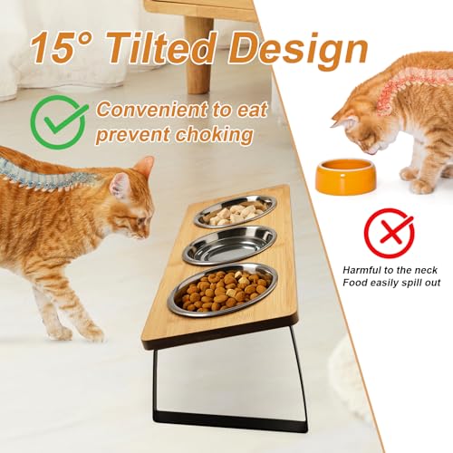 Katzennapf Erhöht mit 3 Futternapf Edelstahl Futterstation napfset katzenfressnapf katzenfutternapf Fressnapf und Wassernapf für Katzen und kleine Hunde (15°gekippte Futterstation)