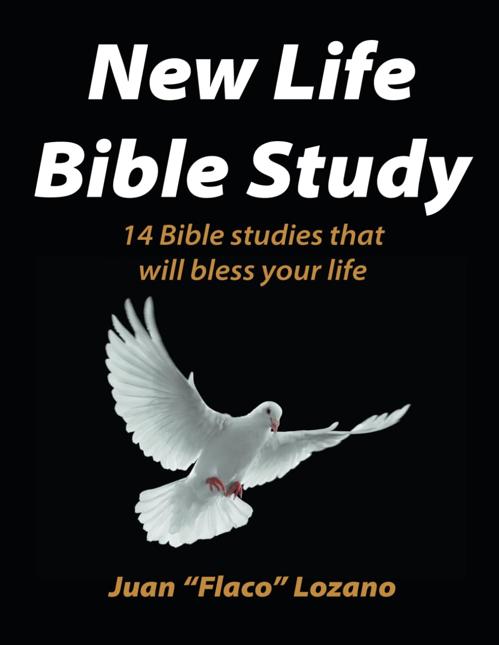 New Life Bible Study: 14 Bible Studies That Will Bless Your Life
