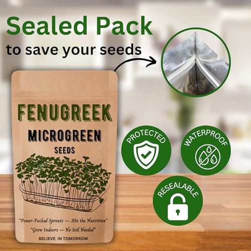 Image of Navika Seeds Fenugreek Microgreen for Hydroponic, Soil & Tray Growing | Fast Germination | High Yield | Non-GMO Methi Microgreens Seeds | Free Growing Guide Included | 100 Gram Packet