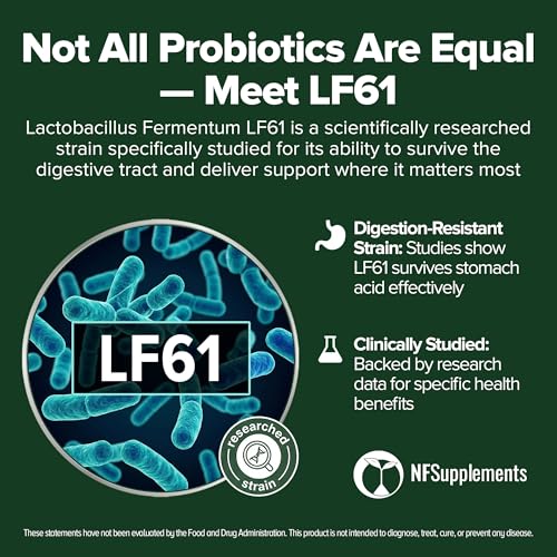 Image of Lactobacillus Fermentum Probiotic 240 Tablets (4 Month Supply) - Researched Strain LF61 - 3 Billion CFU - Digestive Health & Antioxidant Support - GMP Certified (240, Lactobacillus Fermentum)