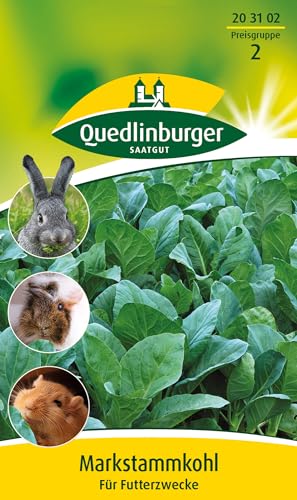 Quedlinburger Saatgut - Markstammkohl Samen