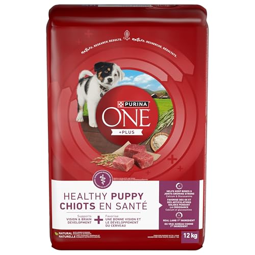 Purina ONE Dry Puppy Food, +Plus Healthy Puppy Formula Lamb - 12 kg Bag (1 Pack) image 1