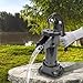 Cast Iron Pitcher Pump Manual Hand Well Pump Suction Pump Max lift 25 ft for Garden Yard Farm Home Emergency Back-up Water Pump