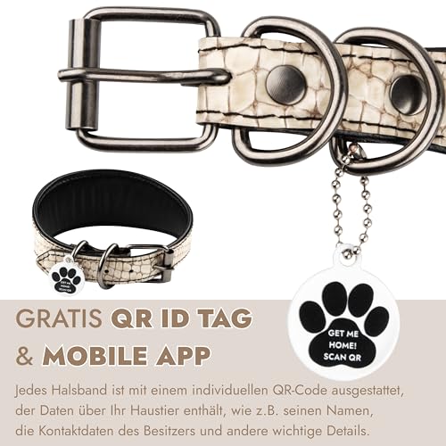 FAVPET Luxus Echtleder Windhund Halsband Breit mit QR Code Anhänger, Weiches Lederhalsband Hund Breit Whippet Italienisches Windspiel Saluki Lurcher Spanischer Galgo Greyhound Podenco (Beige, M)
