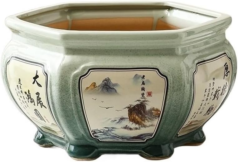 美株❗️ アガベ　チタノタ　シーザー　タグ付き❗️【50】 アガベ チタノタ 