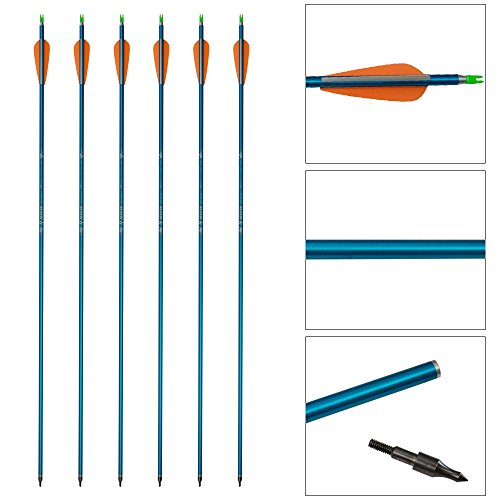 Tongtu 12-pack aluminum arrows, 31 Inch Archery Arrows Hunting Spine 500 Replacement Points for Compound and Recurve Bow - Image 4