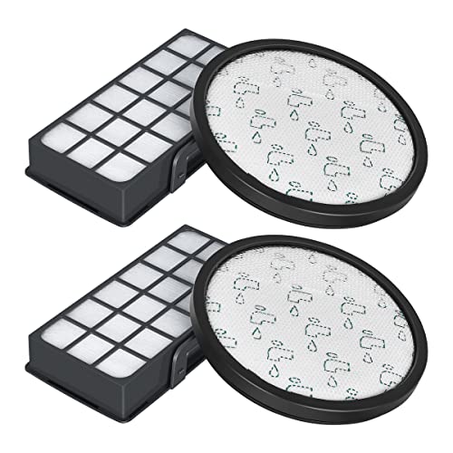 Jajadeal Filtres HEPA pour Rowenta X-Trem Power Cyclonic Modèle RO69XX RO7230EA RO7260EA，Filtre de Rechange Accessoires ZR006001