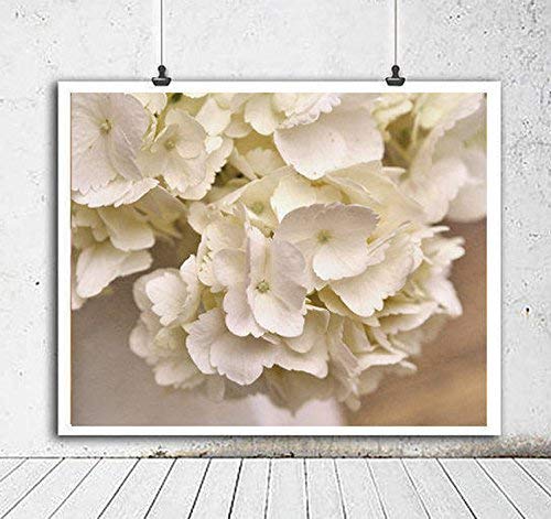 White Hydrangea Art Print, Shabby Chick Bathroom Wall Art, Large Photography Print, Neutral Cottage Wall Decor, Powder Room Picture from 5x7 to 24x30