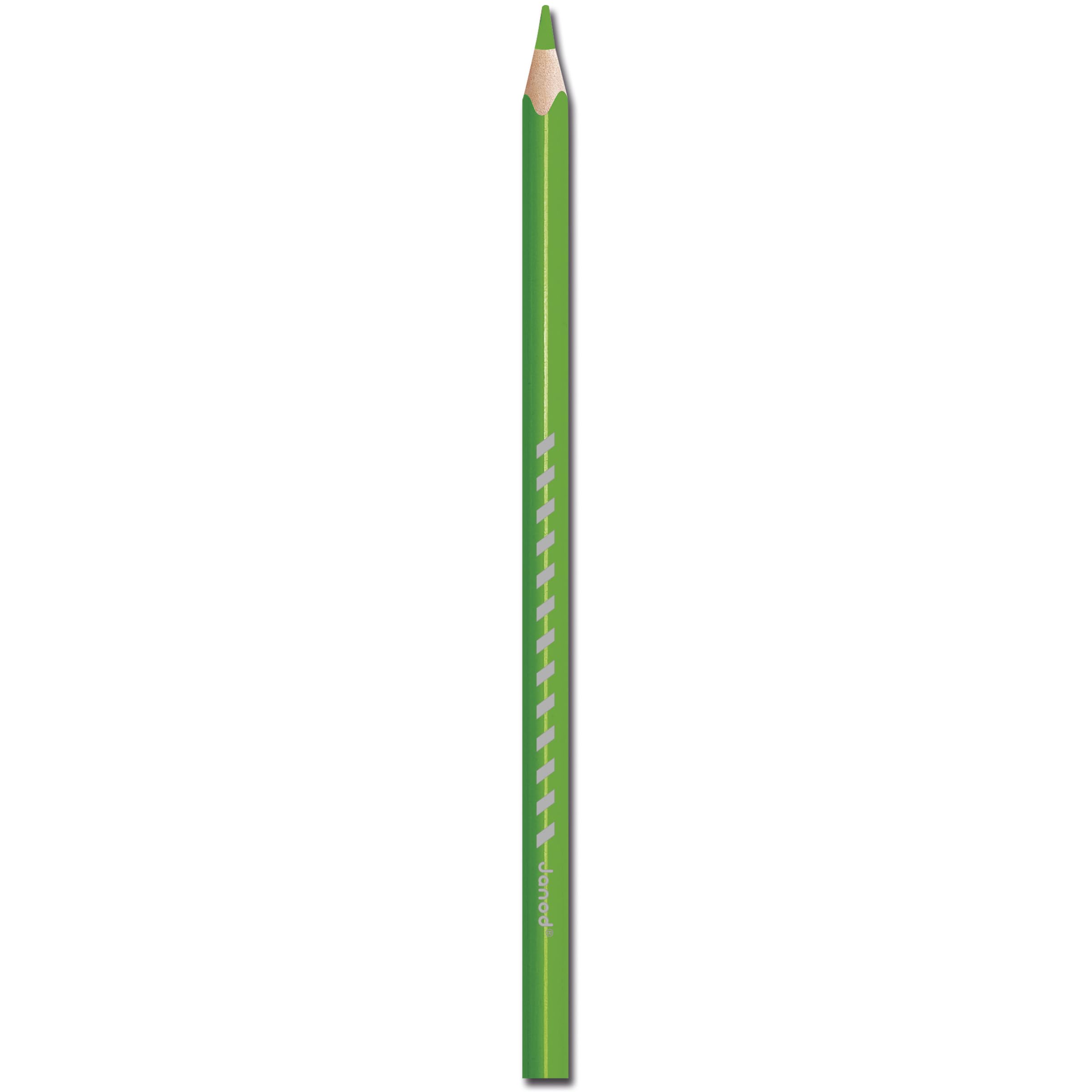 Janod - 12 Crayons de Couleur Effaçables - Crayons de Coloriage en Résine avec Embout Gomme - Forme Ergonomique - Mine Fine & Resistante - Dessins & Coloriage - Dès 3 Ans - J07414