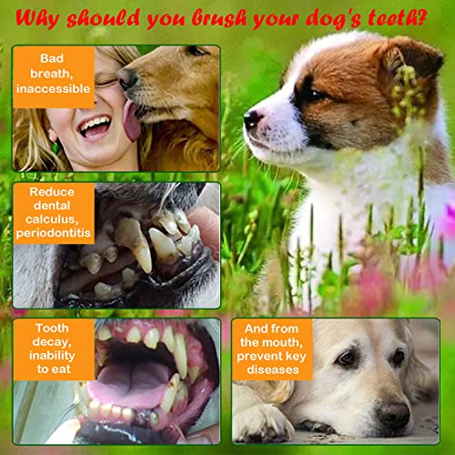 image for Taicols 360º Pet Fingerbrush, 4 Pcs Dog Fingerbrush Toothbrush Kit, S