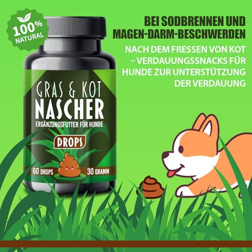 Saint Nutrition® Gras + Kotfresser Leckerlis für Hunde – bei Sodbrennen & Magen Darm nach Fressen von KOT – Verdauungssnacks für Hund – bessere Verdauung