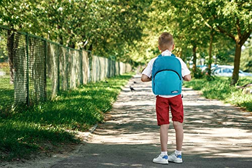 Trail Maker Color Block Backpacks For School Boys And Girls thumb #6