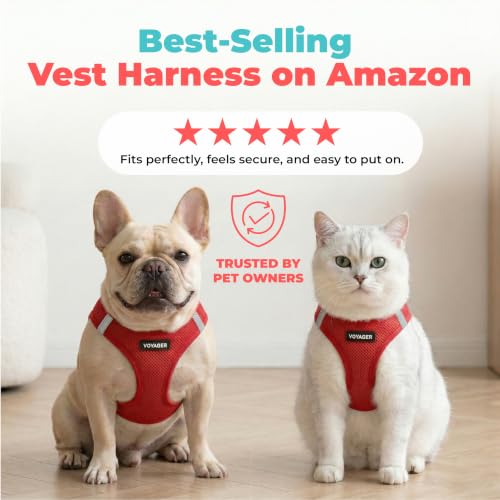 Image of Voyager Step-in Air Dog Vest Harness - Red, XX-Small | 12 - 13.5 inch in Chest, Reflective Bands, All Weather Breathable Air Mesh, Cats Compatible, Lightweight, Fast Drying