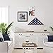 Americanflat Large Flag Display Case - Fits Folded 5x9.5' Burial Flags - Silhouette Collection - Display Box for Wall or Tabletop - Mahogany