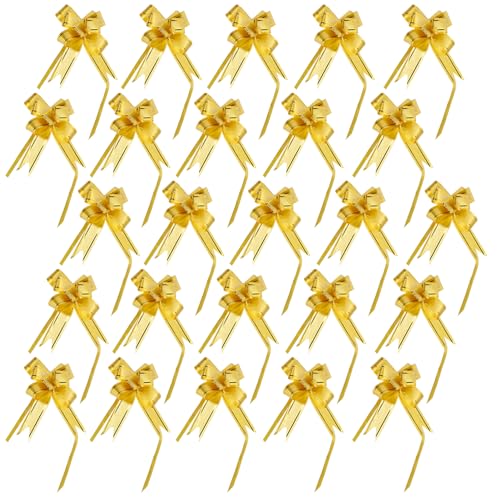 PRTECY 25 C{g{bNX t Ntg ݂艺 Cg[g{bNX C Vp{g Mtg{bNX   a tFXeBo p[eB[p (S[h{E)