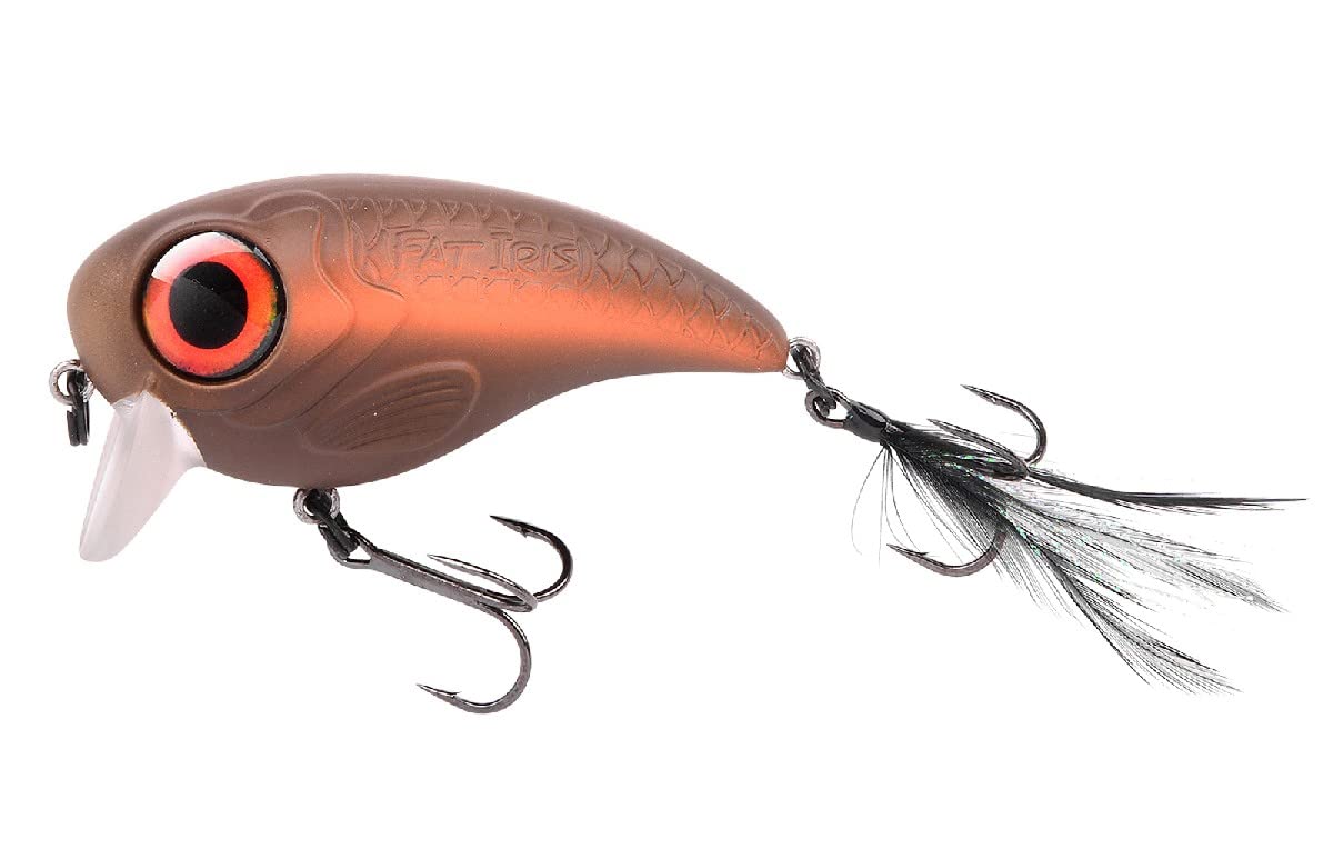 Spro Fat Iris Wobbler | Shining Roach, 8 cm, 40 g