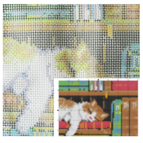 Image of Howie's Latch Hook Kits for Adults, DIY Cat-Book Latch Hook Kit Rug Crochet Yarn, Color Preprinted Pattern Embroidery Decoration(Cat-Book, 19.69 x 14.96 inch)