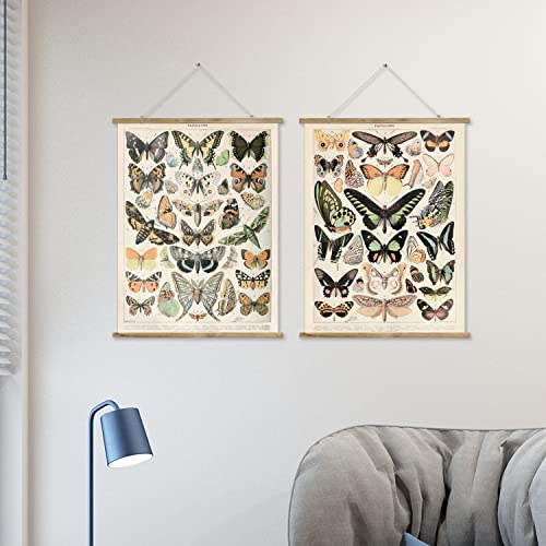 2 Pack Vintage Butterfly Poster Hanger Frame, Retro Style Wall Decor Art Painting, Patterns Are Printed On Canvas Without Fading, Living Room Office Classroom Bedroom Apartment Decor,Educational Chart #TOP5