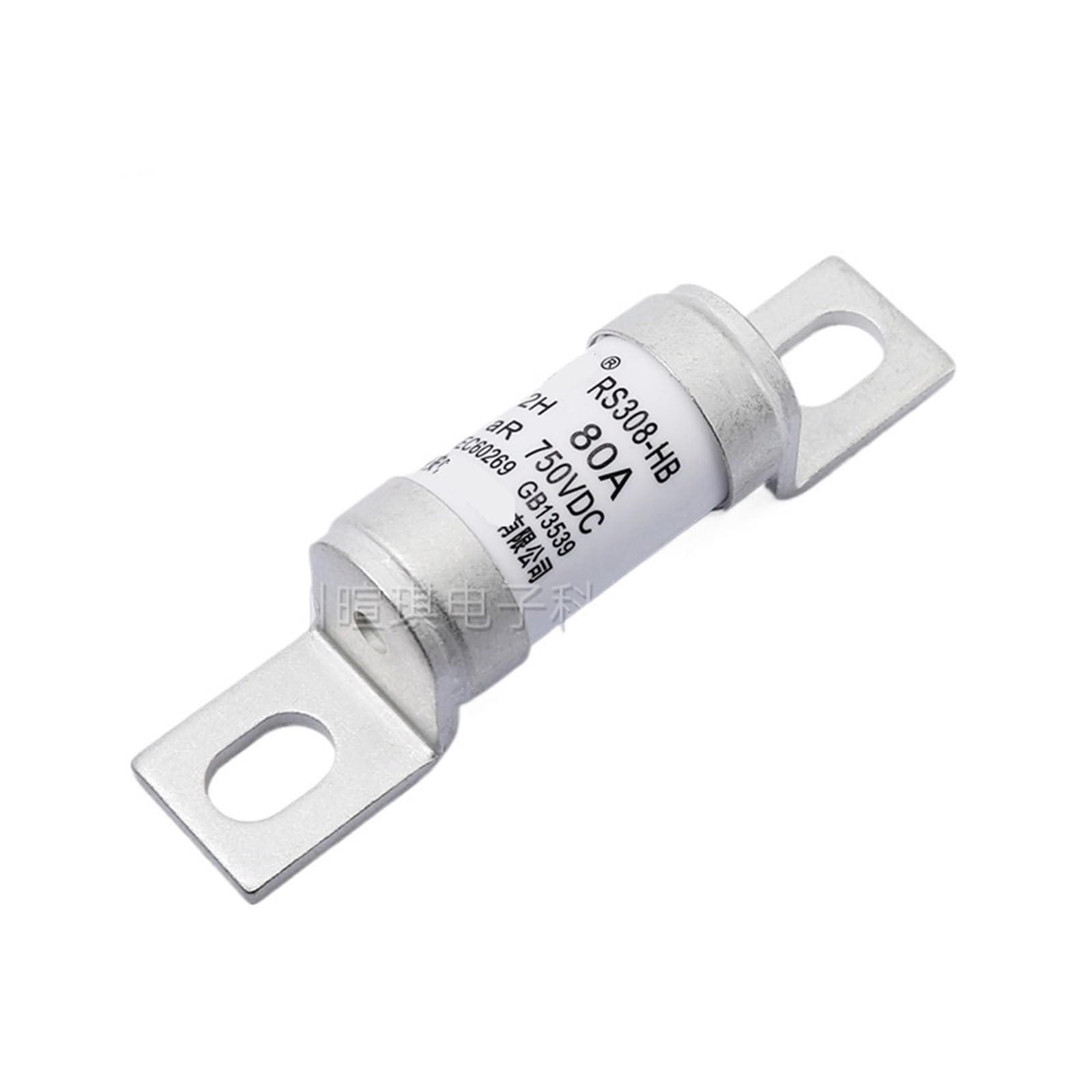 Fusible basse tension RS308-HB-2HD cartouche de protection 750V