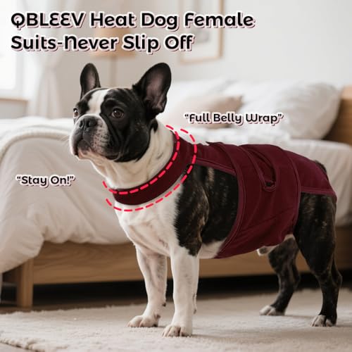 Image of QBLEEV Female Dog Diapers with Adjustable Suspenders - Washable Sanitary Panties for Dogs in Heat or Incontinence, Escape-Proof Reusable Pet Period Underwear Onesie for Small to Large Breeds