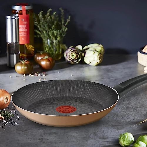 Frigideira Antiaderente Rochedo Limpa Fácil Colors 24cm