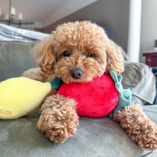 CHEWFFON Quietschende Plüschhundespielzeuge, Welpenspielzeuge, Erdbeer-Quietschspielzeug, Haltbare Hundespielzeuge mit robustem Nylonfutter, Stoffhundegeschenke für Kleine, Mittlere und Große Hunde