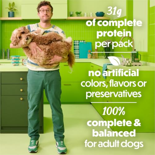 Beneful Purina Freshly Prepared Meals Wet Dog Food, Beef, (8) 10 oz