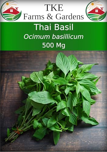 TKE Farms & Gardens - Thai Basil Seeds for Planting, 500+ Non-GMO Heirloom Seeds, Easy-to-Grow Herb, Indoor & Outdoor Gardening, Perfect for Home Chefs and Asian Cuisine, Instructions Included