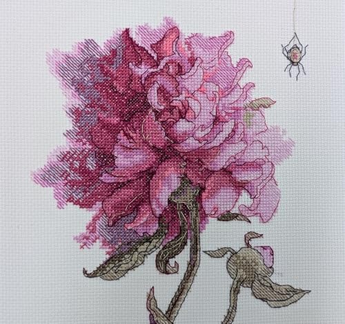 Image of Aine - Peonies. Grace A1008, Cross Stitch Kits 8 inchx11, Cross Stitch Kits for Beginners & Advanced, Crossstitching Kits Adult, Counted Cross Stitch Kits for Adults, Flowers Embroidery Kit