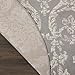 Nourison Jubilant Damask Grey 5'3'' x Round Area-Rug, Easy-Cleaning, Non Shedding, Bed Room, Living Room, Dining Room, Kitchen (5 Round)