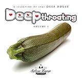 Softcore Lounge Records